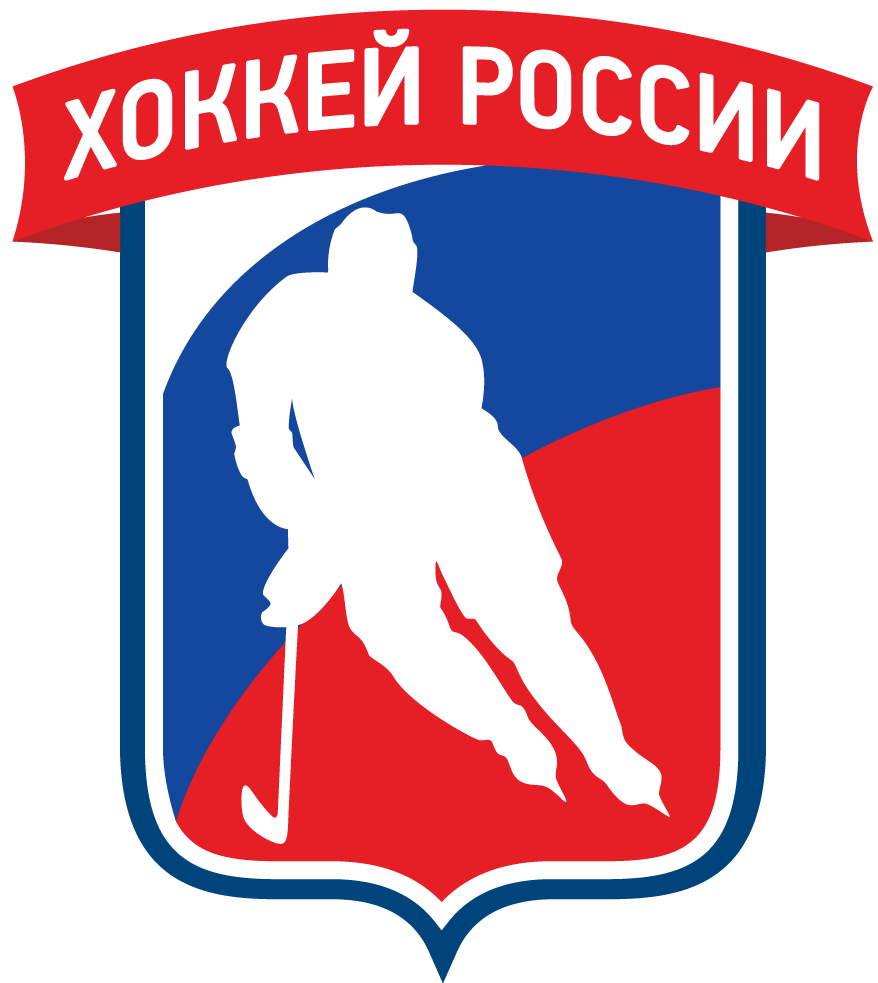 Russia 2016-Pres Partial Logo v4 iron on transfers for T-shirts